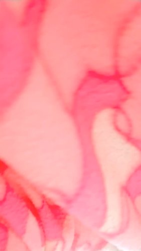 Video post from suparnadas4801.