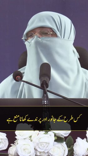 Video post from nighathashmi.