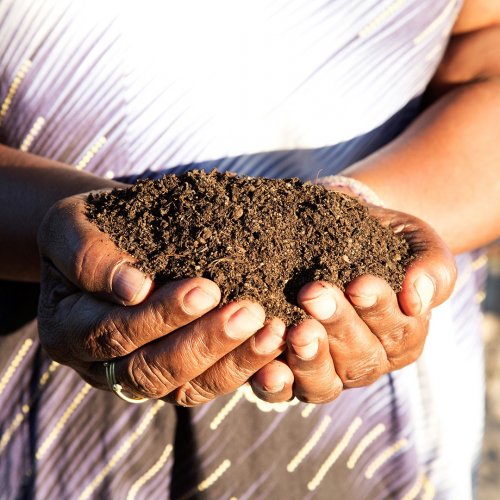 Photo post from unops_official.