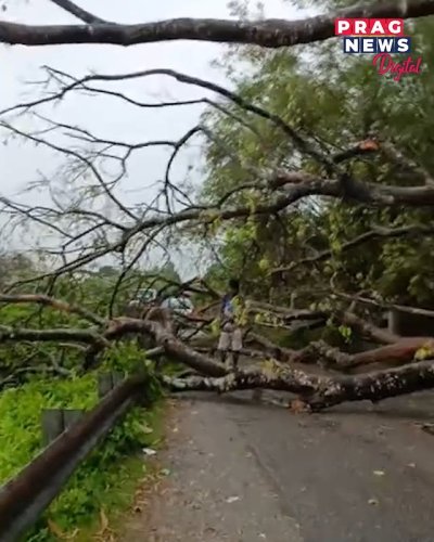 Video post from pragnewsofficial.