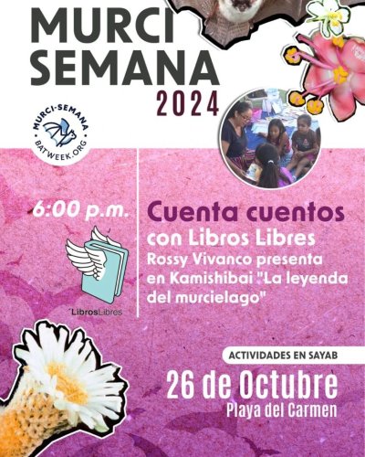 Photo post from libroslibrespdc.
