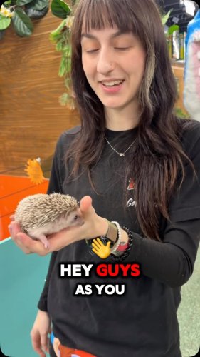 Video post from njexoticpets.