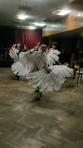 Video post from siderea_dance.