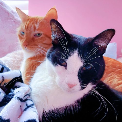 Photo post from margaritabloom.