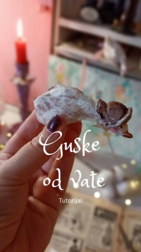 Video post from oljaidevetpaunica.