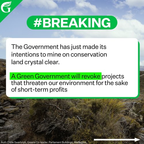 Carousel post from nzgreenparty.