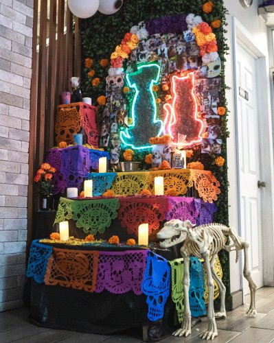 Carousel post from medicalpettj.