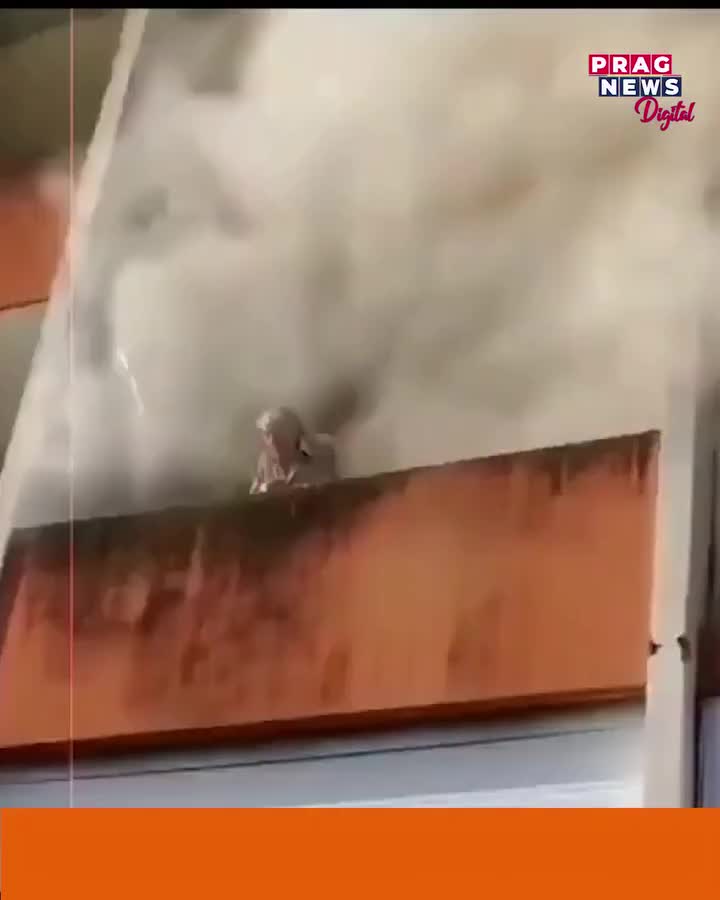 Video post from pragnewsofficial.