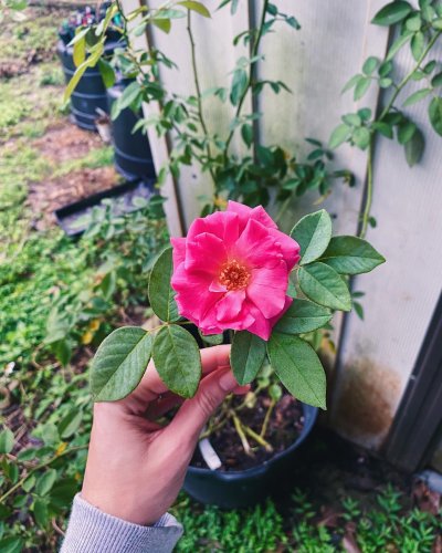 PostPhoto