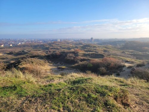 Photo post from ditiskatwijk.