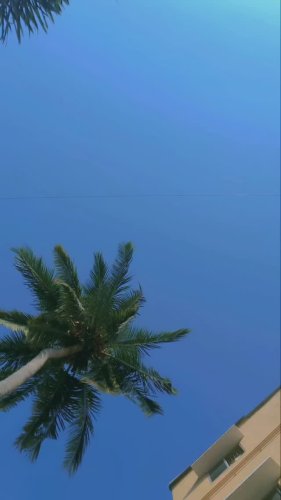 Video post from only_raja__002.