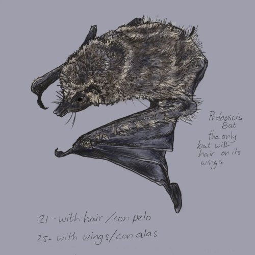 Photo post from artbyloesroos.