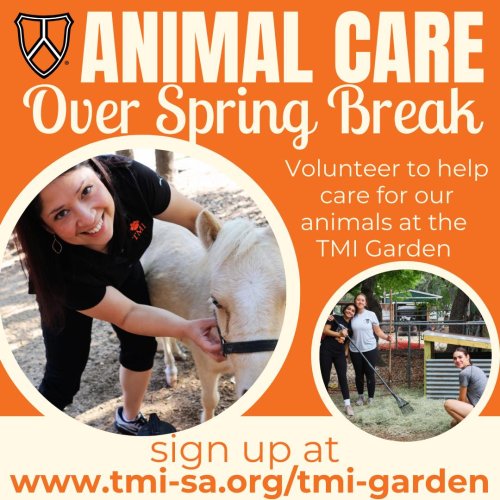 Carousel post from tmiepiscopal.