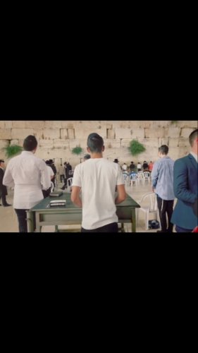 Video post from ncsysummer.
