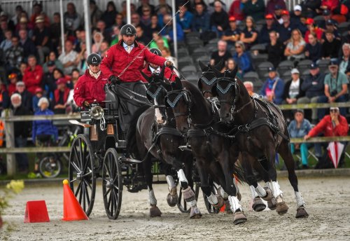 Photo post from fei_global.