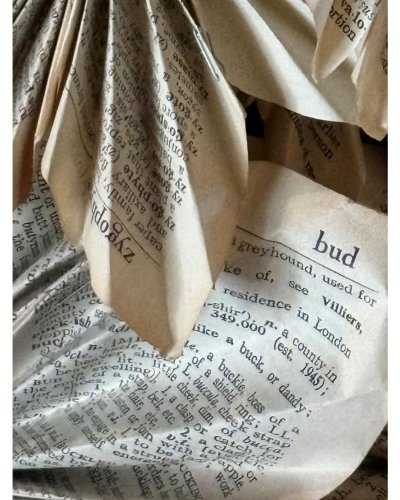 Carousel post from hotelonnorth.