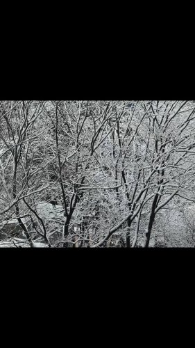 Video post from nydreamer7.