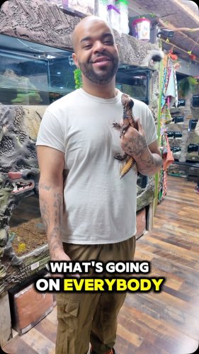 Video post from njexoticpets.