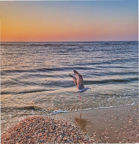 Photo post from ditiskatwijk.
