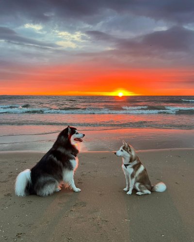 Photo post from ditiskatwijk.