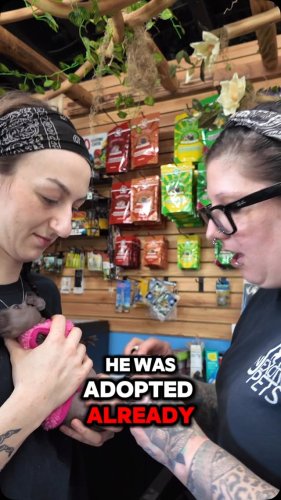 Video post from njexoticpets.