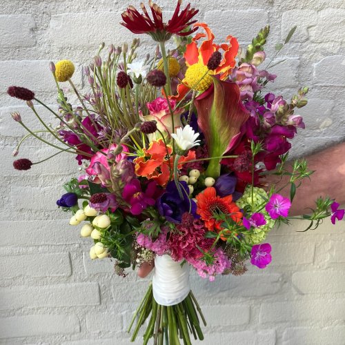 Carousel post from dellemannbloemen.