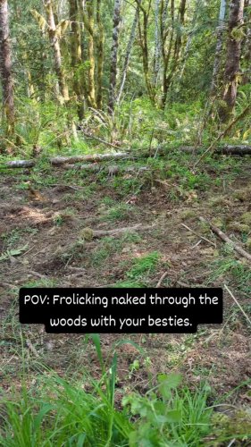 Video post from hungryhollowfarm.