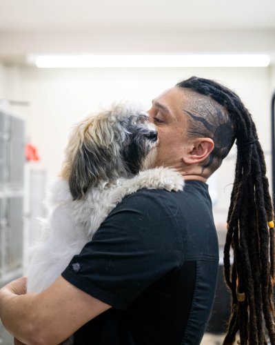 Photo post from medicalpettj.