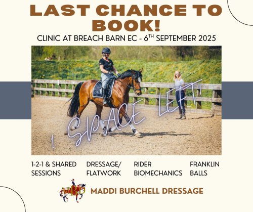 Photo post from mbddressage.