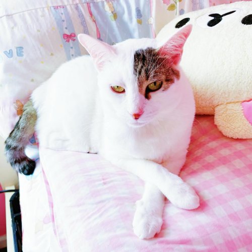 Photo post from margaritabloom.