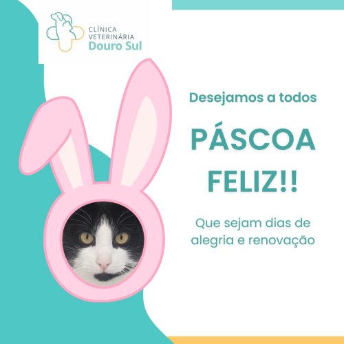 Photo post from clinica_veterinaria_dourosul.