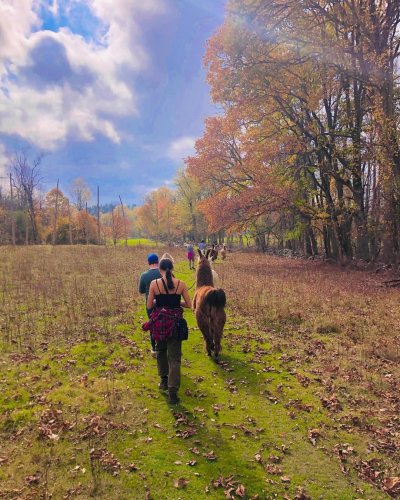 Photo post from dutchesstourism.