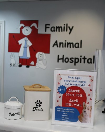 Photo post from familyanimalhospitalcm.