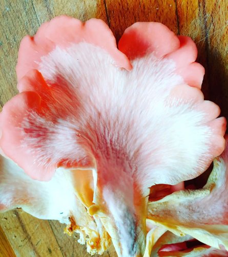 Carousel post from peri.renata.glinkowska.