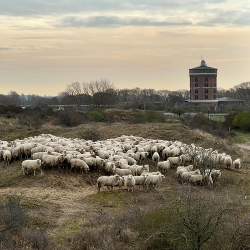 Photo post from ditiskatwijk.