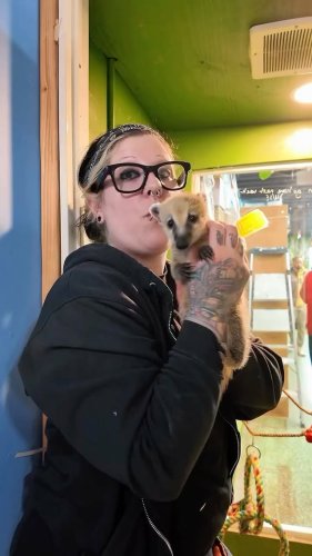 Video post from njexoticpets.