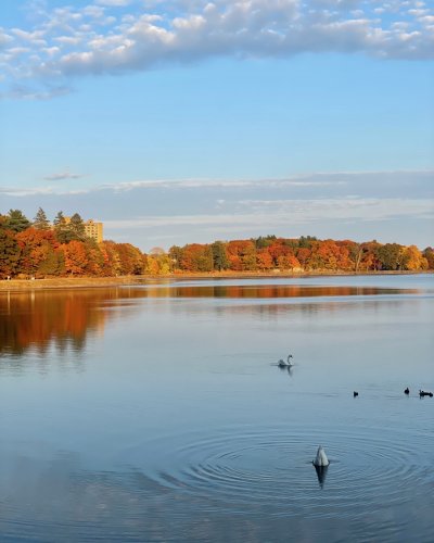 Photo post from bostoncollege.