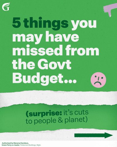 Carousel post from nzgreenparty.