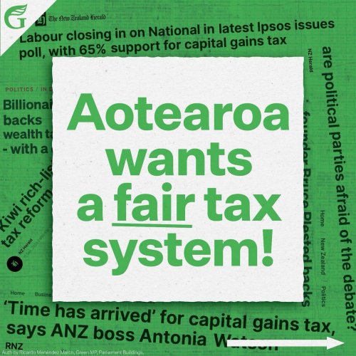 Carousel post from nzgreenparty.