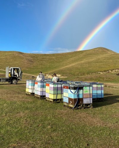 Photo post from comvita_nz.