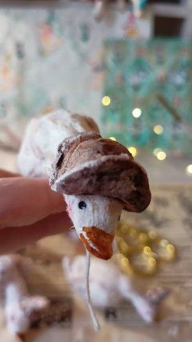 Video post from oljaidevetpaunica.