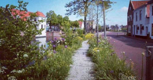 Photo post from ditiskatwijk.