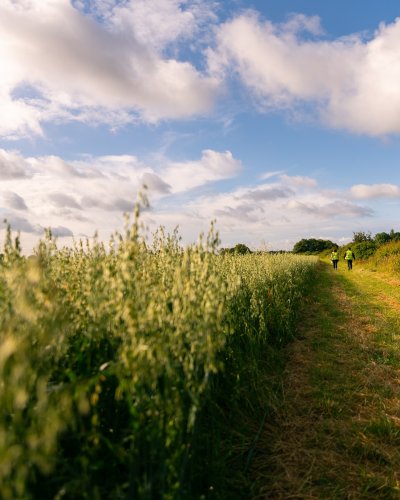 Photo post from glasshouseretreat.