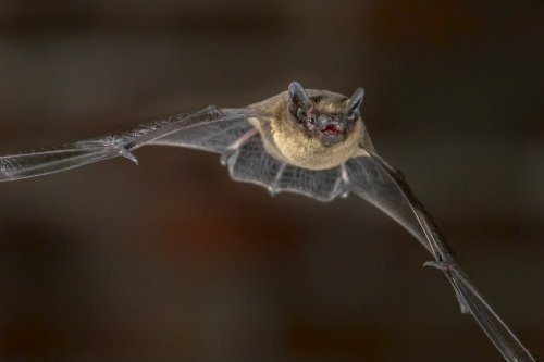 Photo post from nationalforests.