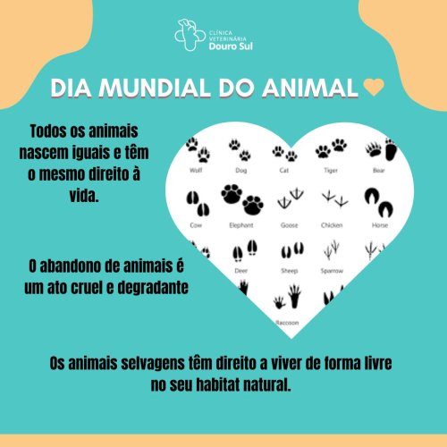 Photo post from clinica_veterinaria_dourosul.