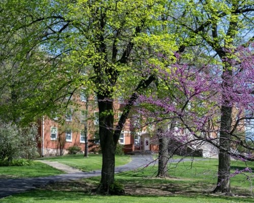 Photo post from wittenberguniversity.