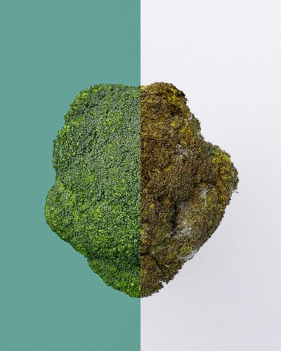 Photo post from farmbox_arizona.