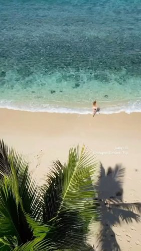 Video post from octopusresort.