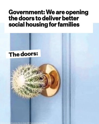 Carousel post from nzgreenparty.