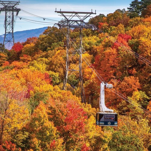 Carousel post from seviercountymoms.